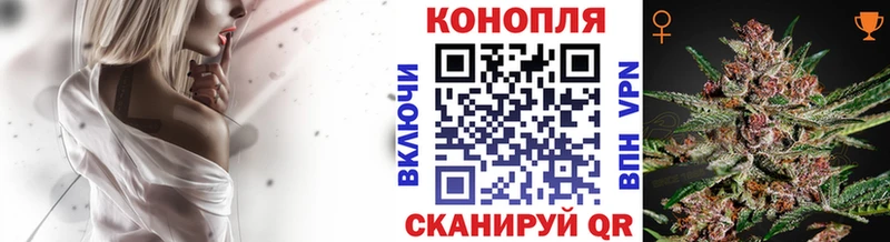 Лсд 25 Енисейск