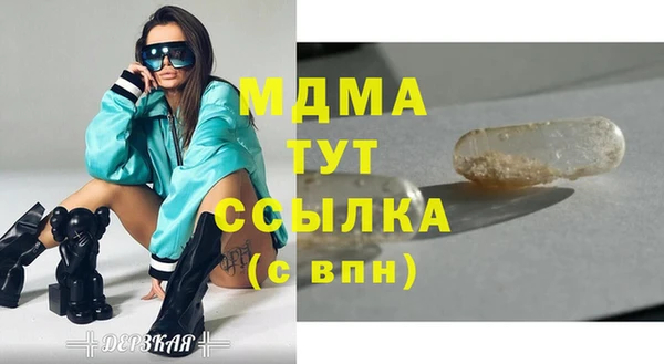 шишки Верея