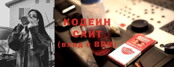 шишки Верея