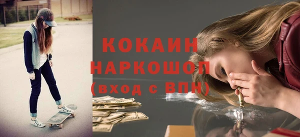 шишки Верея