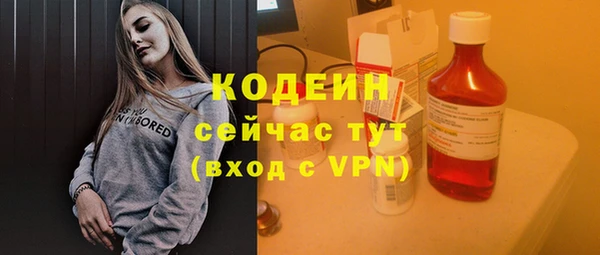 гидра Бронницы