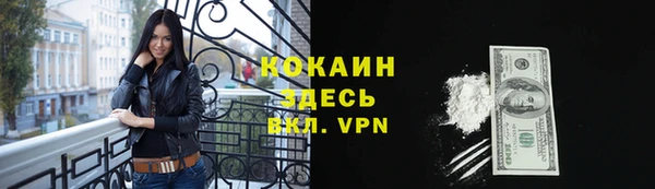 a pvp Бородино