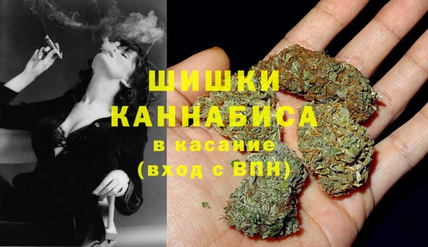 гидра Бронницы
