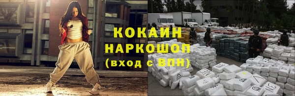 прущие грибы Бугульма