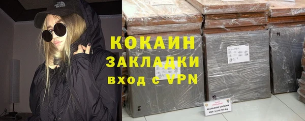 шишки Верея