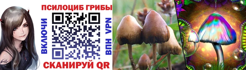 Галлюциногенные грибы мицелий Енисейск