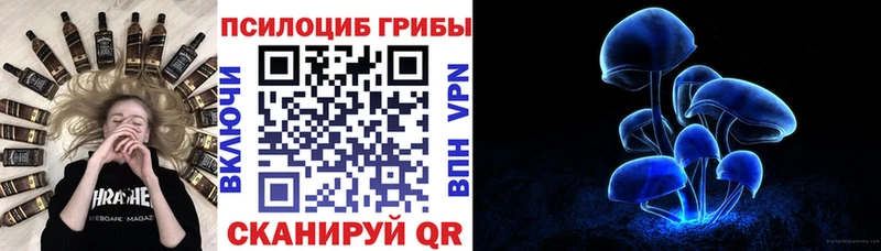 закладки  мега как войти  Галлюциногенные грибы ЛСД  Енисейск 